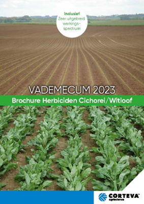 Brochure Herbicide witloof_cichorei 2023 front